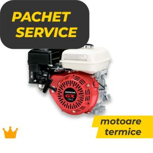 Pachet service PREMIUM Motoare termice