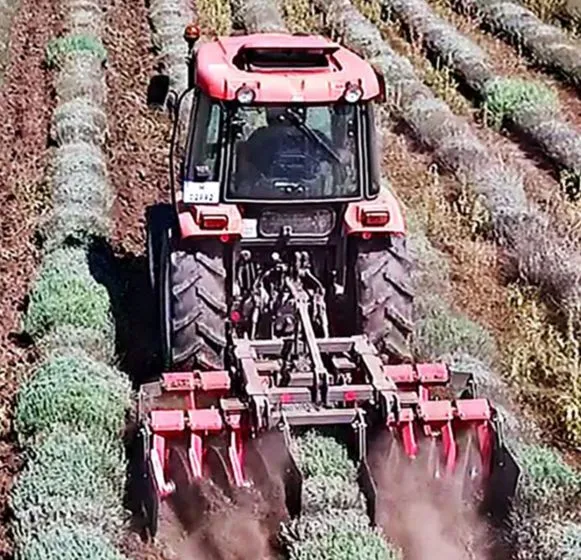 kamaronruna Cultivator cu disc compact pentru lavanda Madara, model Cormoran