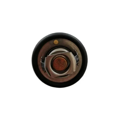 Termostat Mitsubishi MT - Magazia lu' Costica