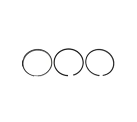 Set segmenti standard, 76mm, pentru motor Kubota D1005 - Magazia