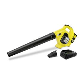 Suflanta frunze 36 V Karcher model Set LBL 4