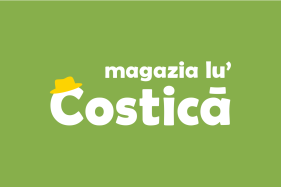 Ansamblu butuc roata de tasare ingusta