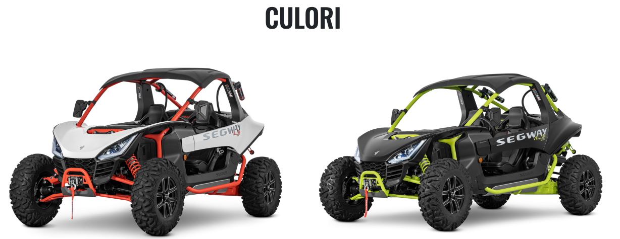 Imagine pentru SSV Segway Villain SX10 E, Omologare T1b